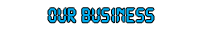 Our Business