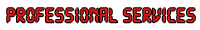 Professional Services