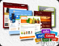 Our Business